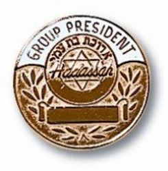 Image of Group President Pin