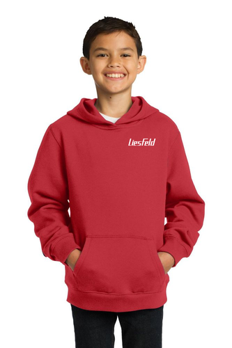 Sport-Tek Youth Pullover Hooded Sweatshirt. YST254.444 image thumbnail
