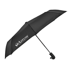 Image of Steal Umbrella