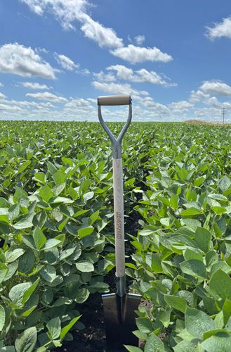 Image of HORSCH Wooden Shovel – Limited Edition