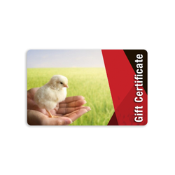 Image of Gift Certificate