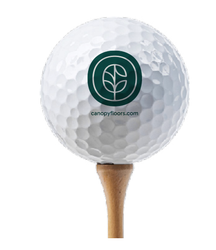 Image of Titleist Pro V1 Golf Balls (Sold by the Dozen) - Canopy