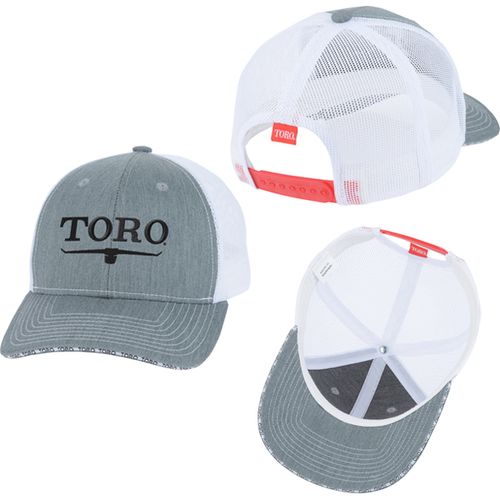 Gray Cap 2025  image thumbnail