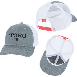Image of Gray Cap 2025 