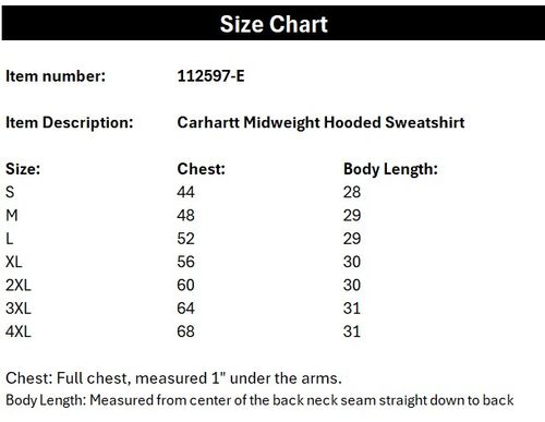 Carhartt Midweight Hoodie image thumbnail