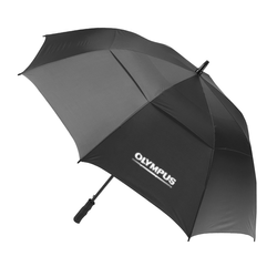 Image of The Open Umbrella