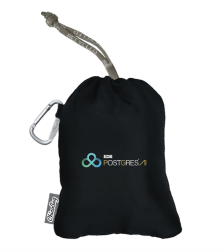 ChicoBag Original rePETe + Refine Tote image thumbnail