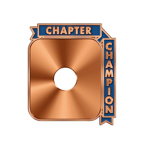 NEW Chapter Champion Rockers image thumbnail