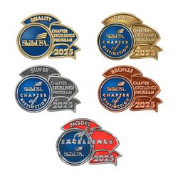 Image of 2025 CEP Recognition Lapel Pins