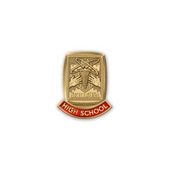 Image of High School Lapel Pin