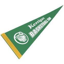 Image of Pennant 8" x 18" - Colors