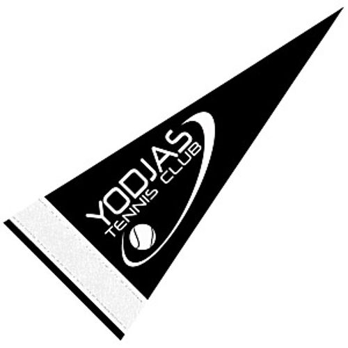 Pennant 4" x 10" - Colors image thumbnail