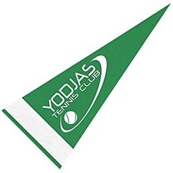 Image of Pennant 4" x 10" - Colors