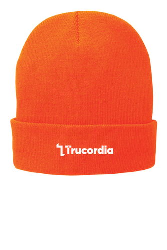 Port & Co™ Fleece-Lined Knit Cap image thumbnail