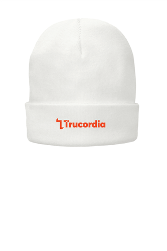 Port & Co™ Fleece-Lined Knit Cap image thumbnail