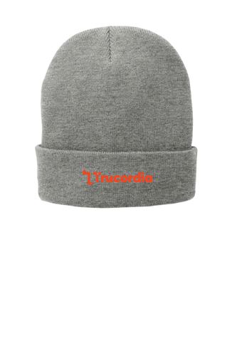 Port & Co™ Fleece-Lined Knit Cap image thumbnail