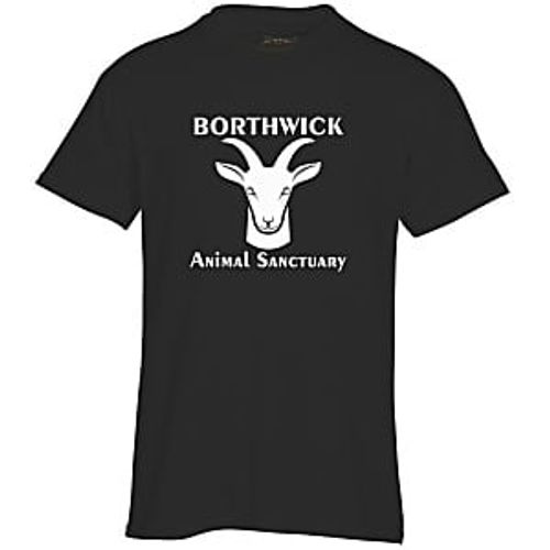 Gildan 5.5 oz. DryBlend 50/50 T-Shirt - Screen - Colors image thumbnail