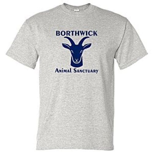 Gildan 5.5 oz. DryBlend 50/50 T-Shirt - Screen - Colors image thumbnail