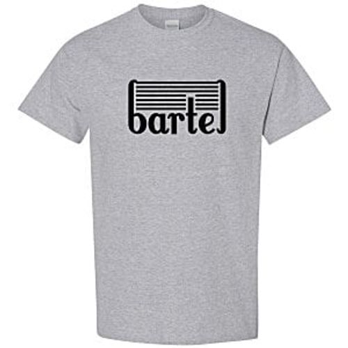 Gildan 5.3 oz. Cotton T-Shirt - Men's - Screen - Colors image thumbnail