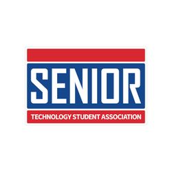 Image of Senior Decal