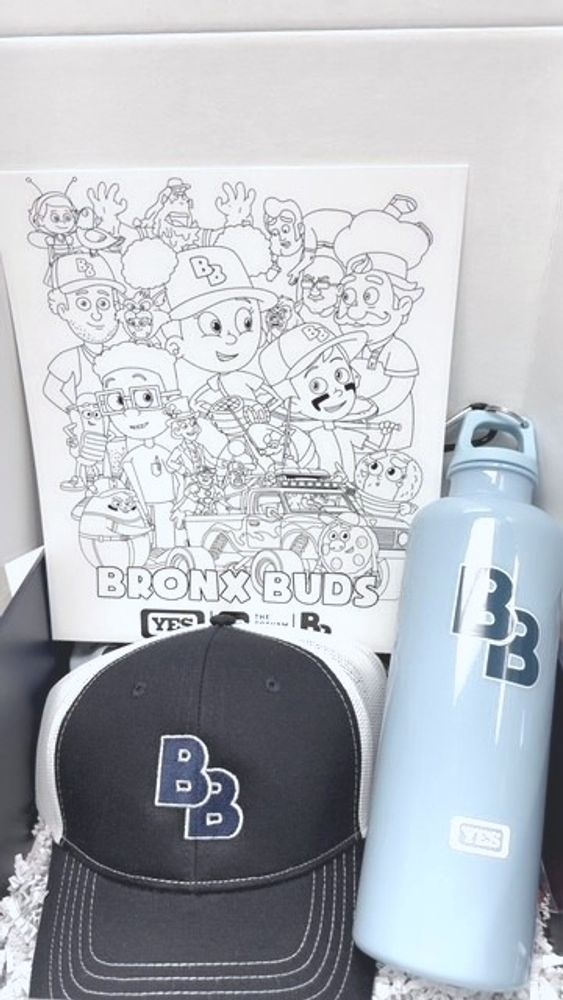Bronx Buds Kids Fun Interactive Kit primary image