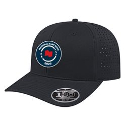 Image of Flex Fit Full Back Cap