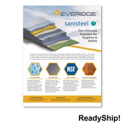 Image of Sanisteel Sell Sheet Flyer