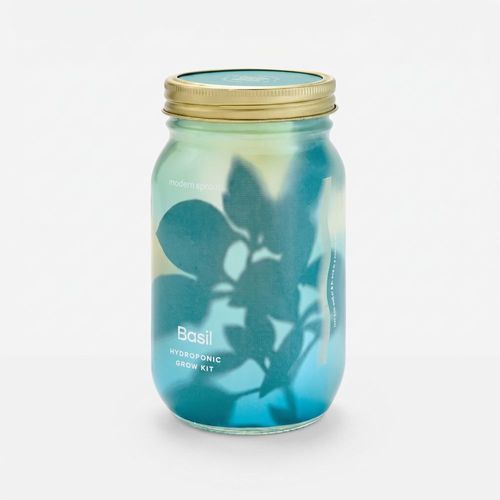 Modern Sprout Herb Garden Jar image thumbnail