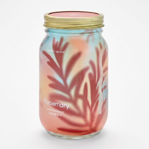 Modern Sprout Herb Garden Jar image thumbnail