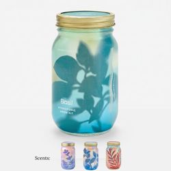 Image of Modern Sprout Herb Garden Jar