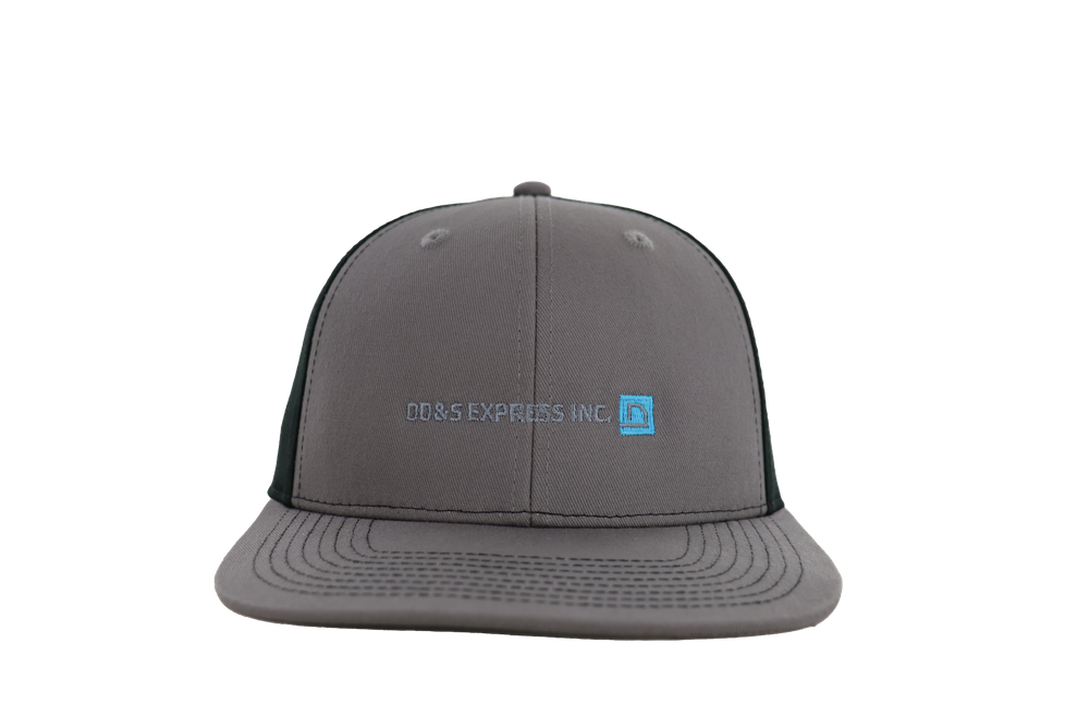DD&S - Premium Modern Solid Twill Hat primary image