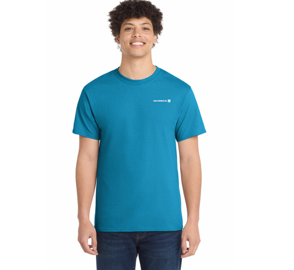 DD&S Port & Co Core Cotton Tee. primary image