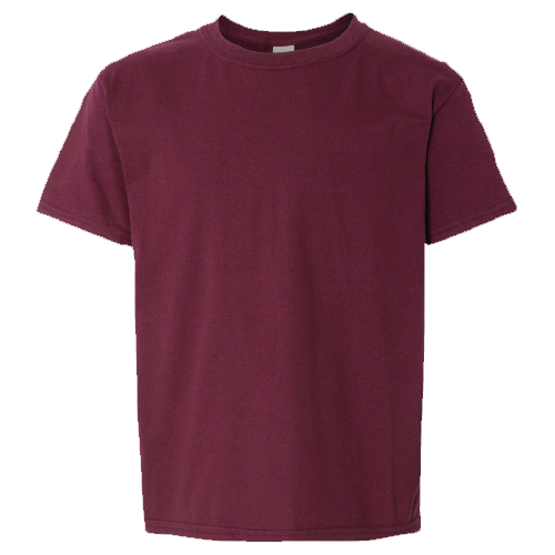 Day Camp Christmas Tree Youth Short Sleeve Softstyle T-Shirt image thumbnail