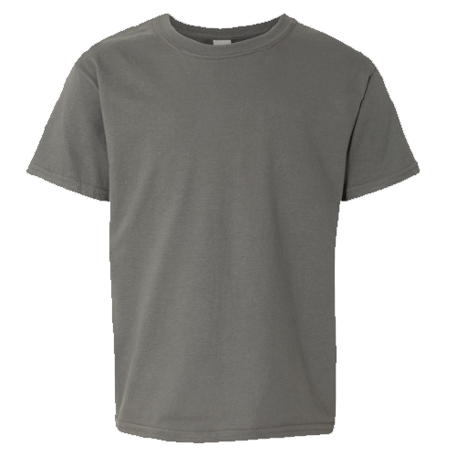 Day Camp Spring Lake Youth Short Sleeve Softstyle T-Shirt image thumbnail