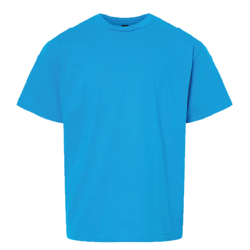 Day Camp Streefland Youth Short Sleeve Softstyle T-Shirt image thumbnail