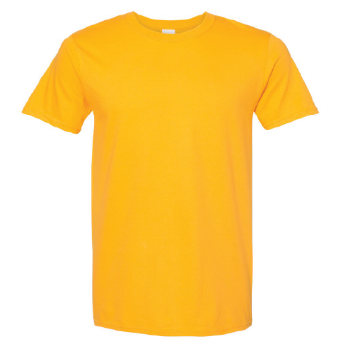 Day Camp Manitou Adult Short Sleeve Softstyle T-Shirt image thumbnail