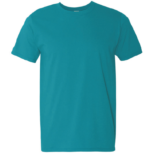 Day Camp Manitou Adult Short Sleeve Softstyle T-Shirt image thumbnail