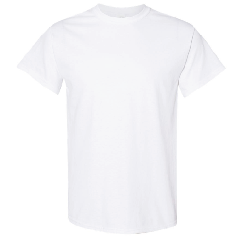 Day Camp Manitou Adult Short Sleeve Softstyle T-Shirt image thumbnail