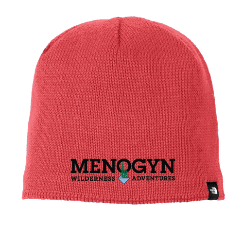 Camp Menogyn The North Face Mountain Beanie image thumbnail