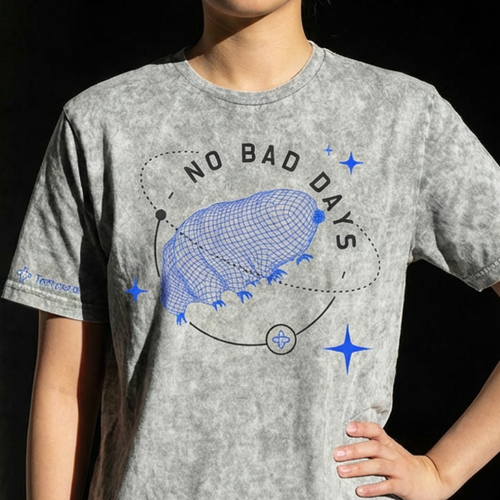 Image of No Bad Days Tee