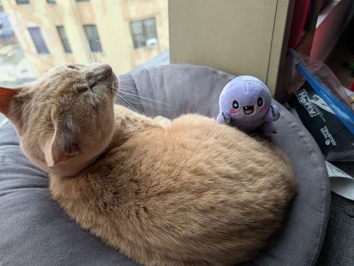 Ziggy Plushie image thumbnail