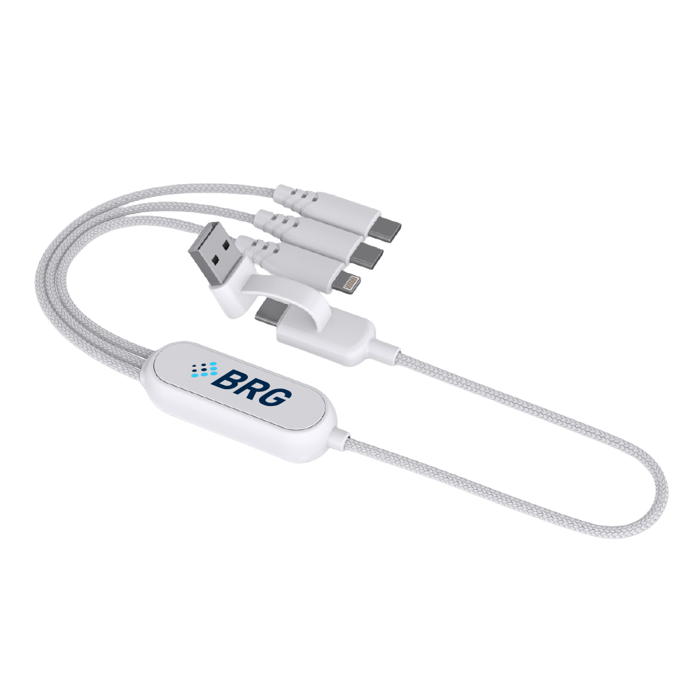 Leo - 100W Multi-Cable primary image