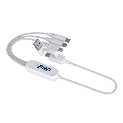 Leo - 100W Multi-Cable image thumbnail