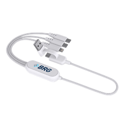 Image of Leo - 100W Multi-Cable