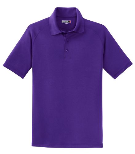 Sport-Tek Dry Zone Raglan Polo. T475 image thumbnail