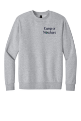 Image of District V.I.T. Heavyweight Fleece Crew DT6154 LIGHT GREY