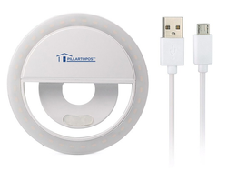 Image of Online Meeting Adjustable Vanity Light