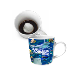 Image of Peek-A-Boo Shark Mug