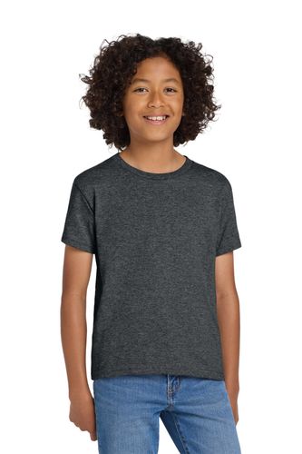 Gildan Youth DryBlend 50 Cotton/50 Poly T-Shirt. 8000B image thumbnail