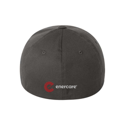 Image of Flex Fit Full Back Cap